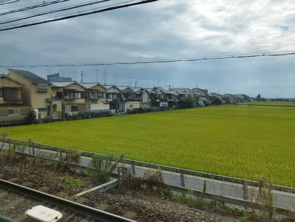 View from train